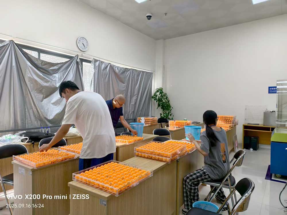 本页围绕「国际米兰官方合作伙伴bev